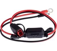 Bosch câble de Connexion pour chargeurs de Batterie - Câble de Batterie avec œillets et fusible de 10 A - Pièce de Rechange d'origine - Œillets M6, câble de 52 cm - 0189999270