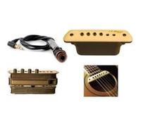 Accessoires guitares LR BAGGS M1 Micros guitares acoustiques G