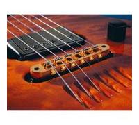 Accessoires guitares LR BAGGS TB-BK Doubles / Humbuckers