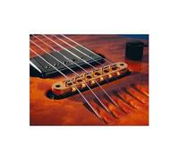 Accessoires guitares LR BAGGS TB-BK Doubles / Humbuckers