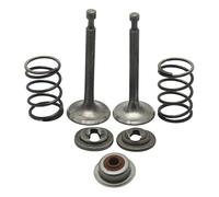 Accessoires Jeu de Joints de Tige de retenue de Valve, pièce de Rechange for Moteur de Tondeuse à Gazon GX160 GX200 5,5hp 6,5hp