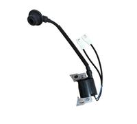 Accessoires Module de Bobine d'allumage adapté au Moteur à gaz 3500i LC3500i 3,5kva T21C 270920394 - 0001