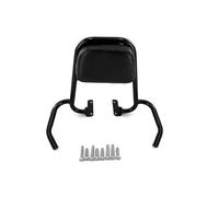 Accessoires Moto pour Royal Alloy RA150 RA200 GP200 TS300 Dossier De Moto Dossier du Siège Passager Arrière Coussin De Protection pour Appui Pièces Rechange(GP Black)