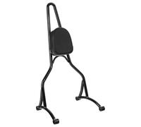 Accessoires Moto Sissy Bar Vertical pour Sportster 1200 pour Forty Eight pour Seventy Two pour Nightster pour XL1200N 2009-2023 Porte-Bagages arrière