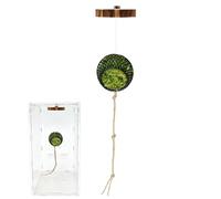 Accessoires pour Araignée Sauteuse Décoration Terrarium