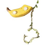 Accessoires Pour Araignées Sauteuses - Boîte Magnétique Avec Design Fruité | Accessoire D'Habitat Pour Araignée Sauteuse - Pour Pampas Tortue Dragon Gecko Barbu Halloween