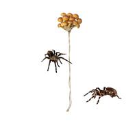 Accessoires pour Araignées Sauteuses,Étagère Champignon Magnétique | Accessoires Habitat Araignées Sauteuses,pour Geckos Grenouilles Arborescentes Bernard-Habitat Terrarium