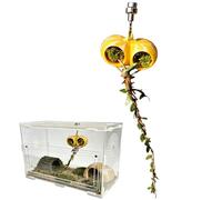 Accessoires pour boîtier d'araignée - Ornement magnétique pour réservoir de Reptiles, abri d'araigne sauteuse, Mini Grotte de cachette | Amélioration de l'habitat du Terrarium, activité d'araignée