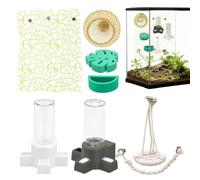 Accessoires pour enclos d'araignées Décoration Magnétique Terrarium Et | Balançoire Pour Araignée Sauteuse Pour Salon, Jardin, Cour, Arrière-Cour, Maison Et E
