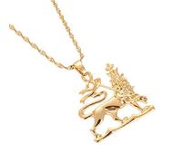 Accessoires pour hommes et femmes Colliers pendentifs lion éthiopiens Femmes Femme Men Color Africa Lion Chaîne de bijoux Anniversaire de mariage, Saint-Valentin, cadeau d'anniversaire de Noël