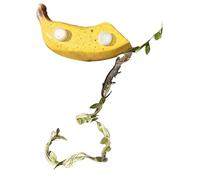 Accessoires Pour L Enclos Des Araignées Sauteuses | Abri Magnétique Design Fruit,Accessoire D'Habitat Pour Araignée Sauteuse | Pour Le Dragon, Le Gecko Barbu, L'D'Halloween Et La Tortue Des Pampas