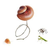 Accessoires pour l'habitat des araignées sauteuses - Aire de jeu magnétique, champignons simulés, araignées sauteuses accessoires d'habitat | Pour la mante religieuse, le scorpion, le cancer de