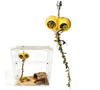 Accessoires Pour Mantes Et Araignées Sauteuses | Décoration Magnétique pour Terrarium,Décoration D'Habitat Pour Araignée Sauteuse,Pour Grimper Reposer Chercher Nourriture