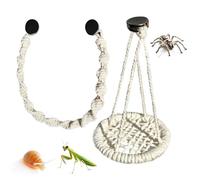 Accessoires pour Terrarium Araignée | Balançoire Corde Suspendue Amovible | Décoration pour Enclos à Araignées Sauteuses | pour Élevage, Gecko, Grenouille Arboricole, Bernard-, Habitat Reptil