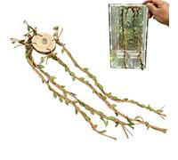 Accessoires pour terrarium d'araignées, liqueurs pour cage à reptiles, décoration d'habitat reptile | pour python boule serpent, tortue terrestre, dragon barbu grenouille, gecko caméléon
