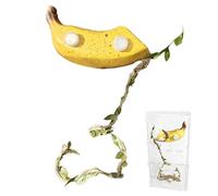 Accessoires pour terrarium d'araignées sauteuses, boîte de conception de fruits avec aimants, accessoires pour habitat d'araignées sauteuses - pour pelouse, pampas, tortue, dragon, gecko barbu, et