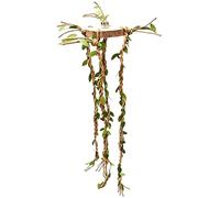 Accessoires Sprspin - Ranges de Cage de Reptiles - Vignes grimpantes pour Reptiles,Pour Lézard Tortue Hermite Crabe Barbe Tortue Terrestre Gecko Bière Caméléons Roi Pythons Serpent