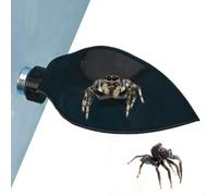 Accessoires Terrarium Araignée Échelle Magnétique De Repos en Feuille