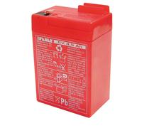 Batterie pour véhicule électrique - FEBER - 6 volts 4 ah