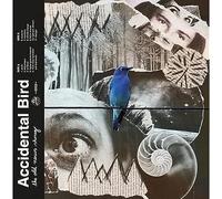 Accidental Bird - The Old News Shrug (Blue Transparent Colored)
