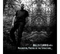 Accidental Poetry of The Struc