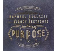Accidentally on Purpose - Sanremo's Festival 2014 (12") [Vinyl LP]