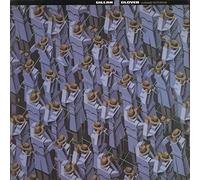 Accidentally On Purpose [Vinyl LP]