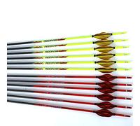 ACCMOS 12pcs Longueur Personnalisée Flèche Carbone pour 15-80 LB Arc à Poulies Diamètre Intérieur 4.2mm .165" 22-32 Pouces Spine 400 500 600 700 800 900 1000 Adulte Jeunesse Chasse et Entraînement