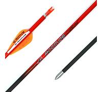 ACCMOS 12pcs Longueur Personnalisée Flèche Carbone pour 15-80 LB Arc à Poulies Diamètre Intérieur 4.2mm .165" 22-32 Pouces Spine 400 500 600 700 800 900 1000 Adulte Jeunesse Chasse et Entraînement