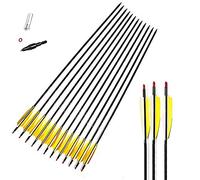 ACCMOS Spine 600 Flèche pour 40 LB Arc Recurve 28 Pouces Flèche Flèches Carbone Flèche Cible Flèche de Chasse Adulte Jeunesse Tir à l’Arc Entraînement 12pcs