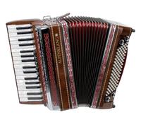 Alpenklang Pro Accordéon III 96 Touches - Styrien