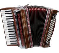 Accordeon Styrienne 96 Touches Basses Helicon 34 Boutons Discantus Sangle Coffre