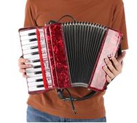 Accordéon - Vvikizy - Modèle 8 basses - 22 touches - Inclus : chiffon et sangle - Pour débutants