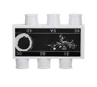 Accordeur Pitch Pipe, Anches en Laiton Accordées à La Main Accordeur Pitch Pipe Tonalités Mi B Sol D La Mi pour Guitares électriques ou Acoustiques