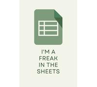 Accountant Notebook - Freak in the Sheets (Excel)