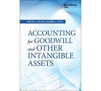 Accounting for Goodwill and Other Intangible Assets – Wiley-VCH