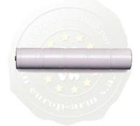 Batterie rechargeable Maglite Mag-Charger