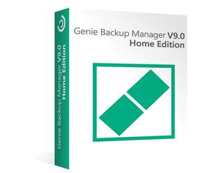 Accueil du gestionnaire de sauvegarde des génies 9