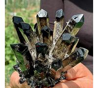 Accueil Restauration d'échantillons de quartz fantôme noir naturel (Taille : 200-250g) LIUZIIHAYIN (Size : 500-550g)