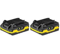 Accumulateur 2,0 Ah Multiflex 20V (Lot de 2)