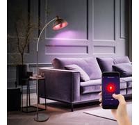 Accumulateur Luminaire Lampadaire Commande Vocale Couleur Minuteur Dimmable RGB