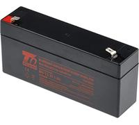 Accumulateur T6 Power NP6-3.3, 6V, 3,3Ah