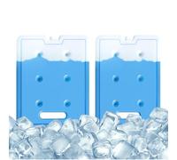 Accumulatori Di Freddo Per Borsa Termica - 2 Pezzi 800ml 1000ml Ice Pack Riutilizzabili Maniglia | Ghiaccio Refrigerante Portatile Per Pranzo Frigo Picnic Campeggio Viaggio Pesca Conservazione Fresco
