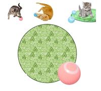 Accustomedi Cat Toy,2 In 1 Simulated Interactive Hunting Cat Toy,Cat Hunting Toys For Indoor Cats,Suitable For All Breed Sizes - Fun Catching Game For Cats Self Play For Boredom (Green + pink ball)