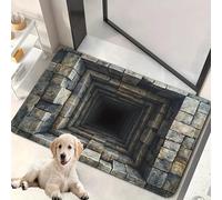 ACCZ Tapis Illusion d’Optique, Tapis 3D antidérapants, Illusions d’Optique, Tapis Qui ressemblent à des Trous, Parfaits pour Les Portes, Les salles de Bain et Les escaliers.(40 * 60cm, C)
