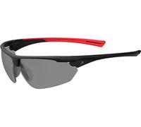 ACE Evo Lunettes de Protection teintées