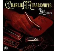 Alligator Ace of Harps