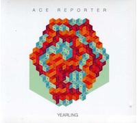 Ace Reporter - Yearling