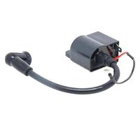 ACE122 Kit de Volant Moteur et stator Bobine d'allumage Compatible avec Les Moteurs 50cc SR JR 2001-2008 ACE122