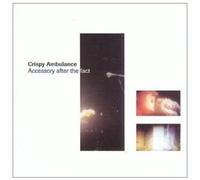 Aceessory After The Fact